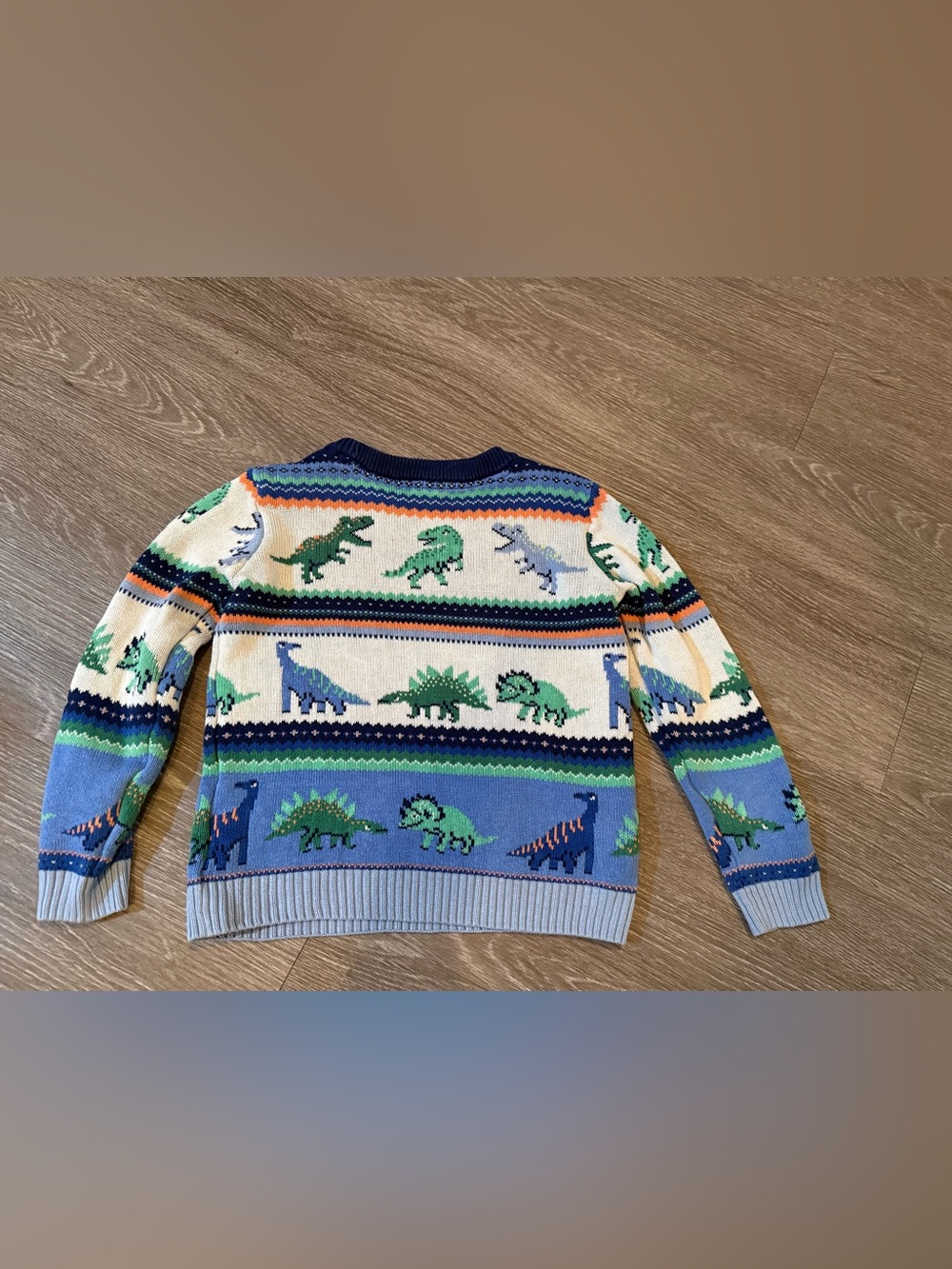 Gymboree Dinosaur Crewneck Sweater